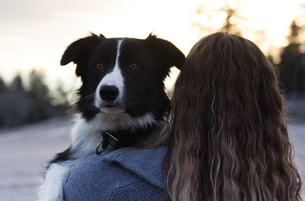 180107 - Lindemark Hundepensjonat_0005_crop.jpg